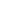 Black In Data logo
